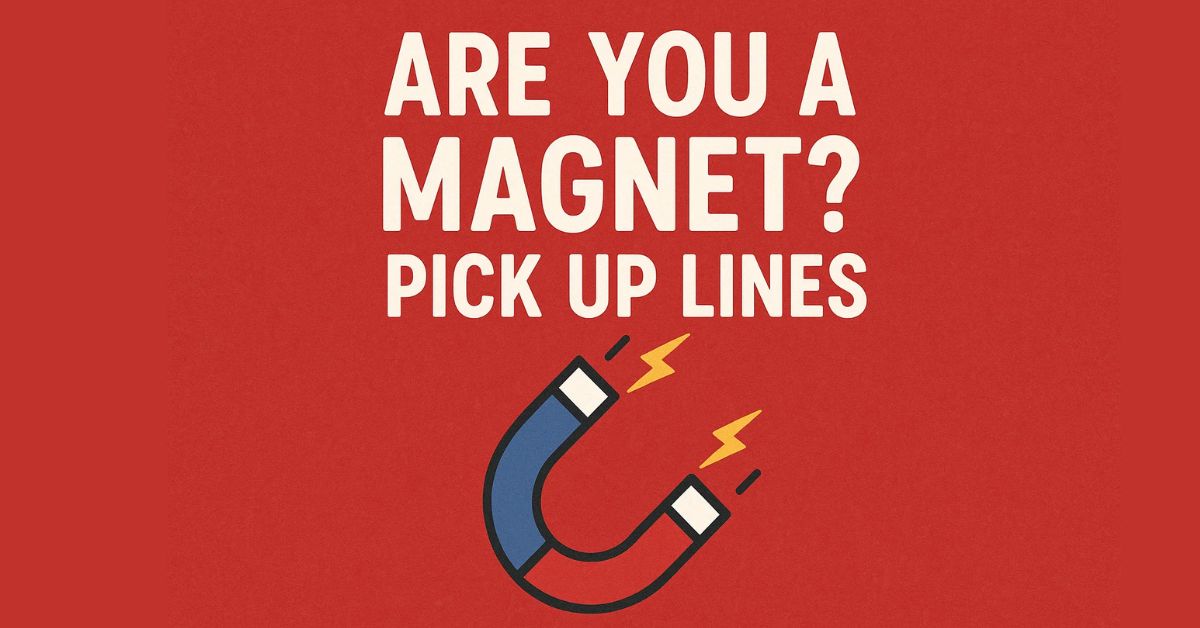 Are You A Magnet Pick Up Lines